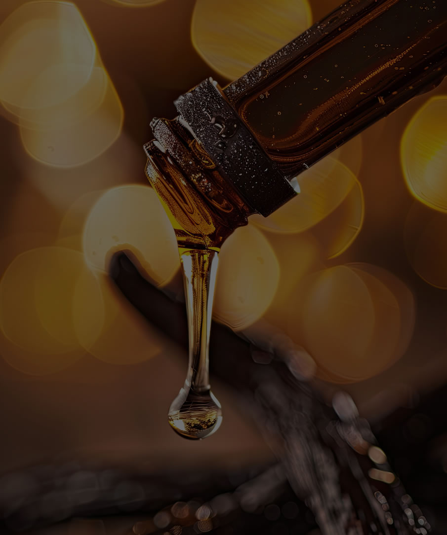 About Nojoum image 3